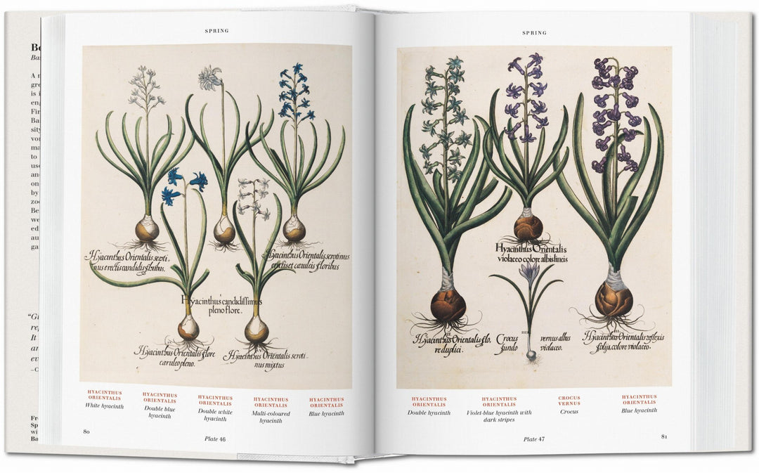 BU Hardcover: Florilegium: The Book Of Plants