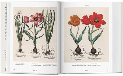 BU Hardcover: Florilegium: The Book Of Plants