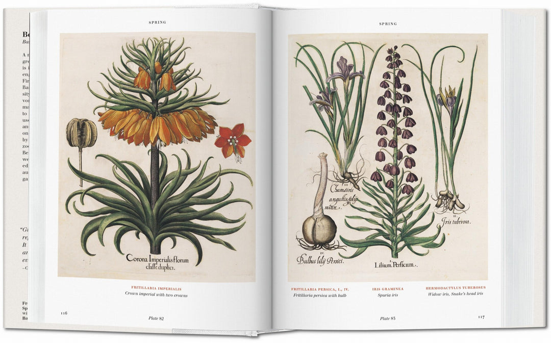 BU Hardcover: Florilegium: The Book Of Plants