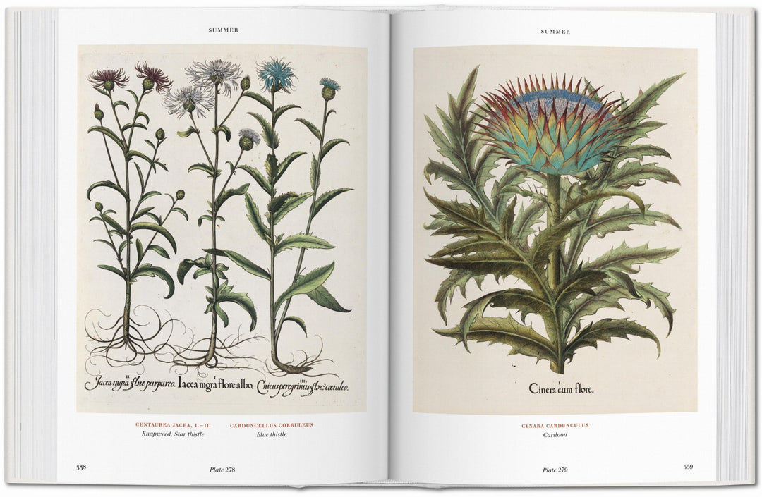 BU Hardcover: Florilegium: The Book Of Plants
