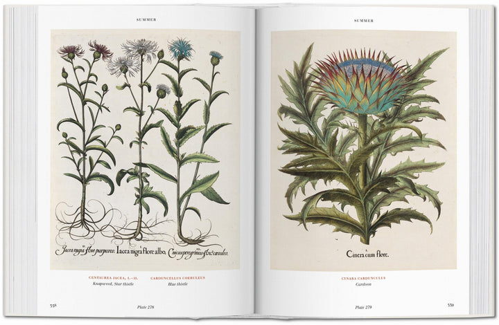 BU Hardcover: Florilegium: The Book Of Plants