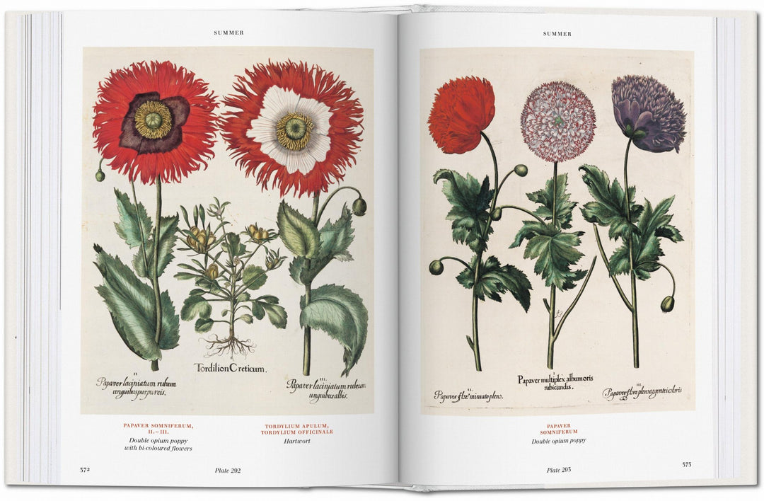BU Hardcover: Florilegium: The Book Of Plants