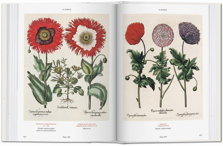 BU Hardcover: Florilegium: The Book Of Plants