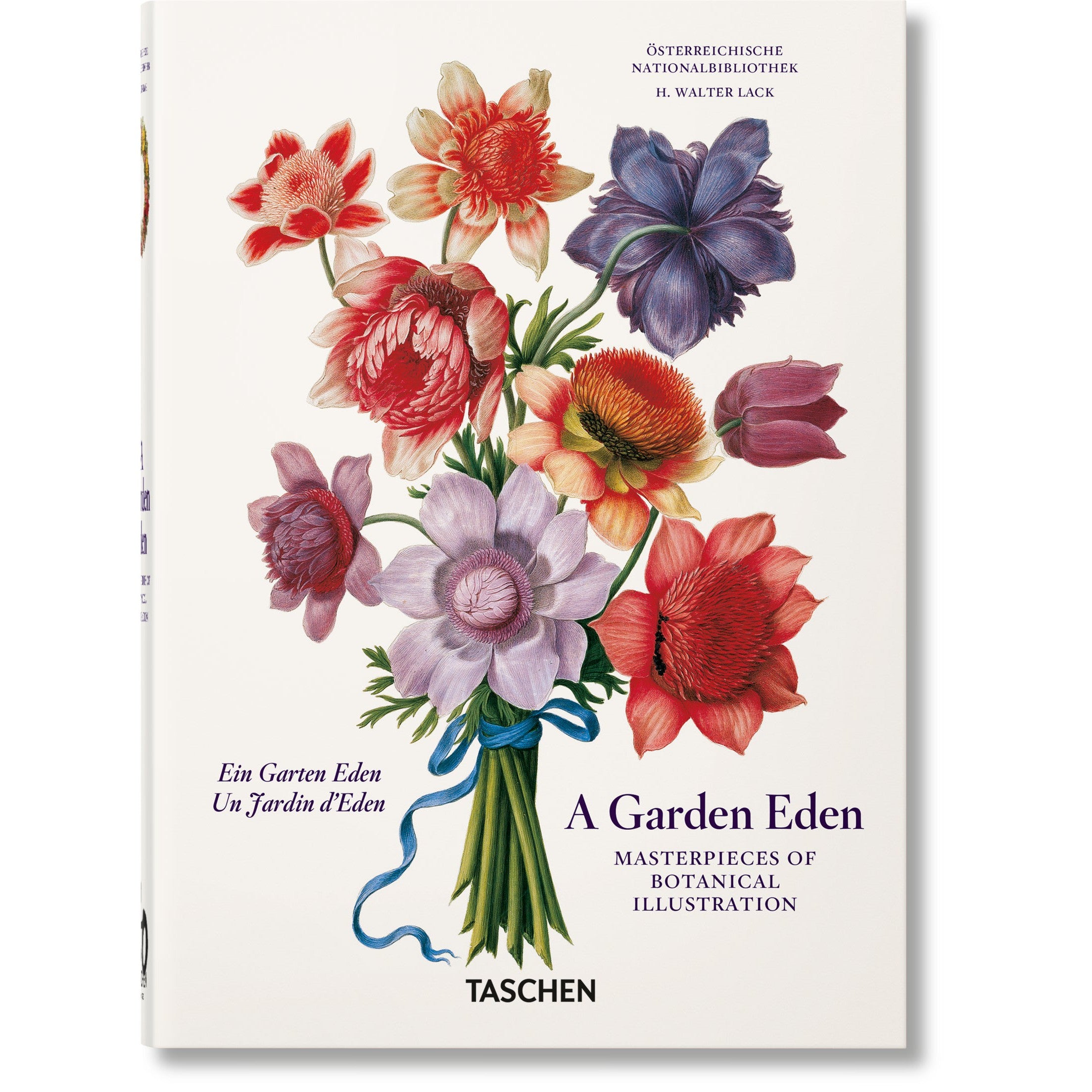 45th Anniversary: A Garden Of Eden