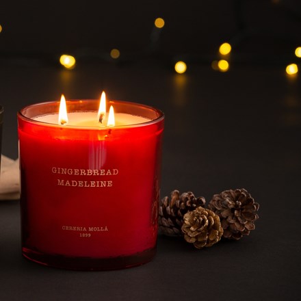Gingerbread Madeleine 21 Oz. 3-Wick XL Candle