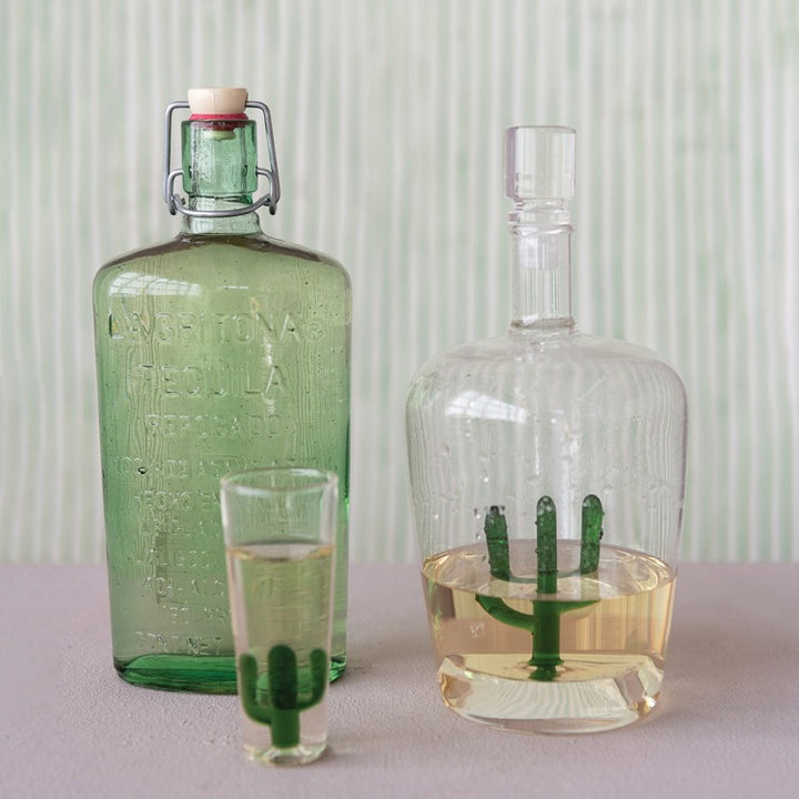 Glass Decanter With Cactus Inside