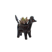 Ceramic Dog Planter - Poodle
