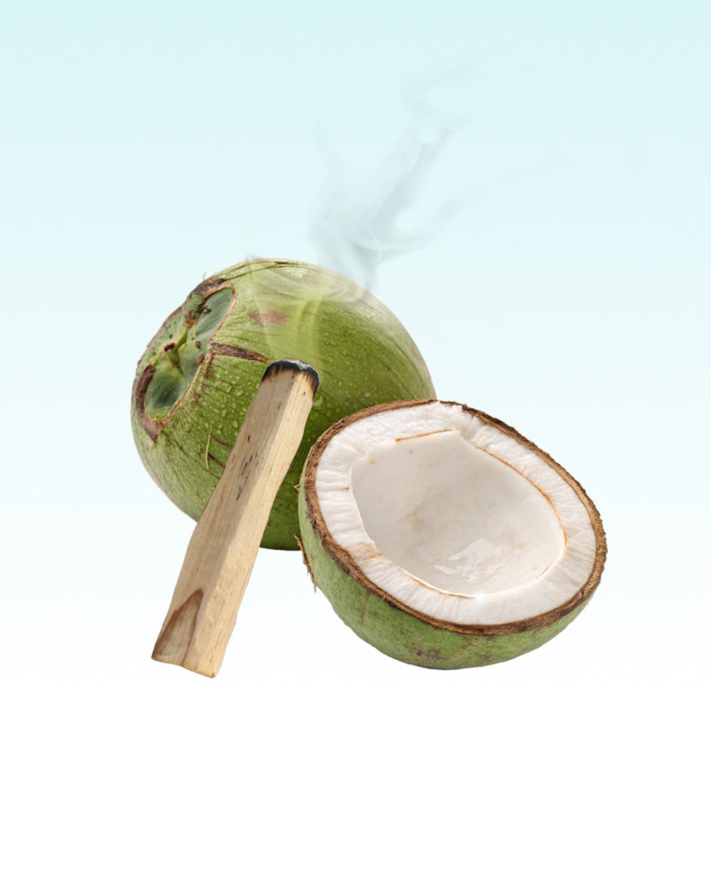 Glasshouse Fragrances Balmy Breeze 8.4 fl. oz. Fragrance Diffuser