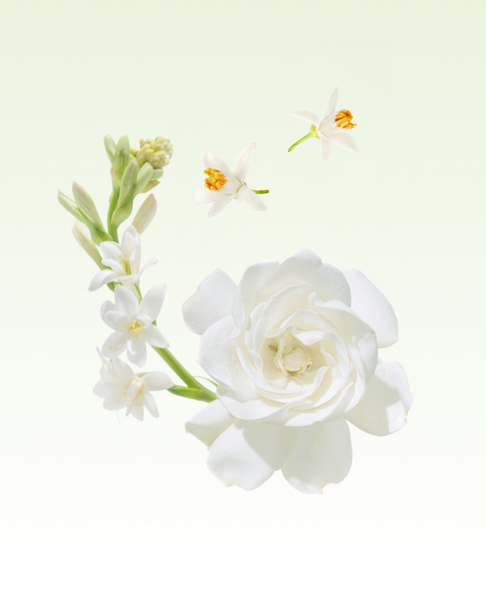 Glasshouse Fragrances Marseille Memoir 8.4 fl. oz. Fragrance Diffuser