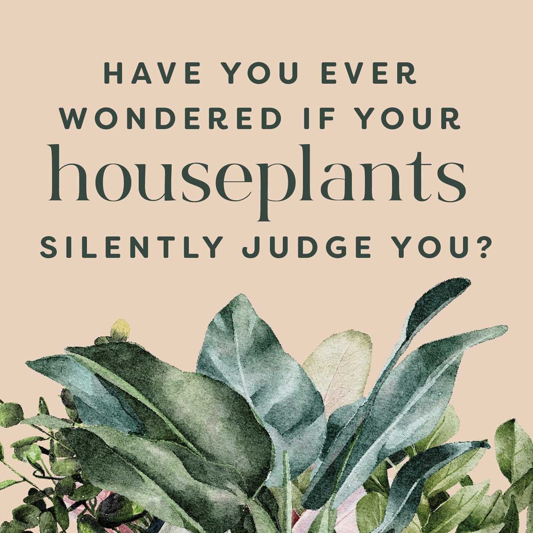 Houseplants And Their F*cked Up Thoughts - Just Fabulous Palm Springs