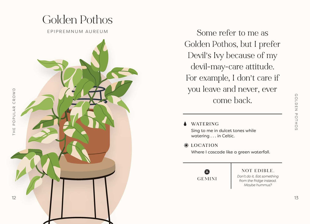 Houseplants And Their F*cked Up Thoughts - Just Fabulous Palm Springs