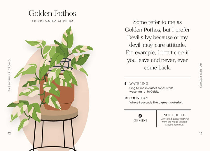 Houseplants And Their F*cked Up Thoughts - Just Fabulous Palm Springs