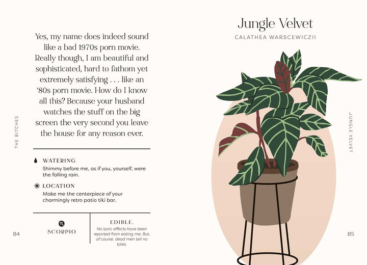 Houseplants And Their F*cked Up Thoughts - Just Fabulous Palm Springs