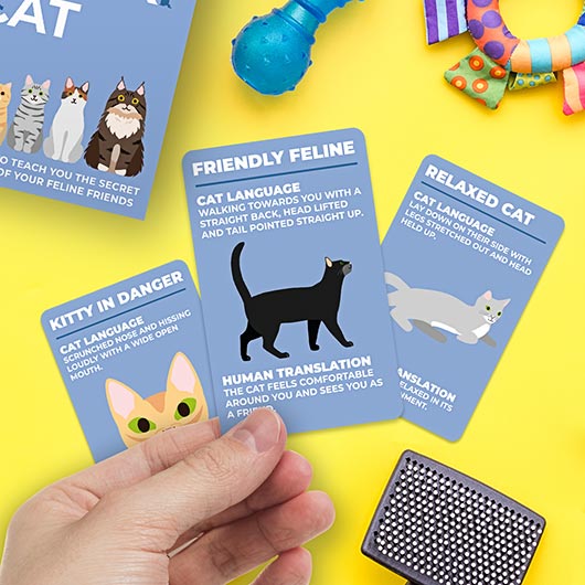 How To Speak Cat Card Deck