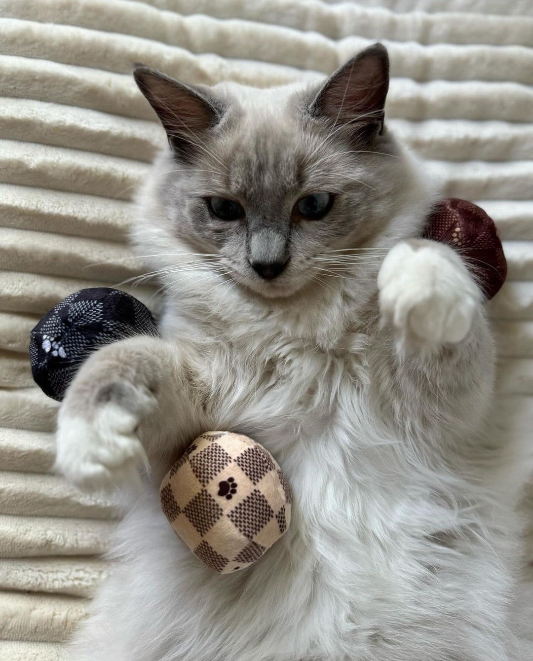 Kitty Vuiton Checker Balls Catnip Toys