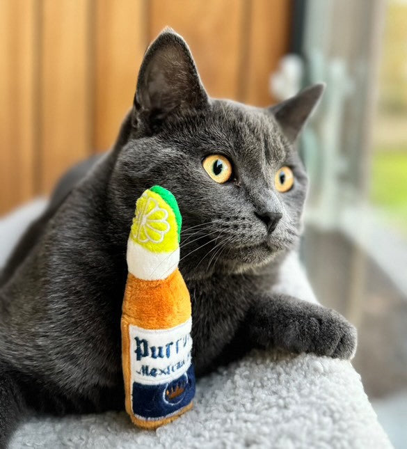 Purrona Bottle & Ball Catnip Toys