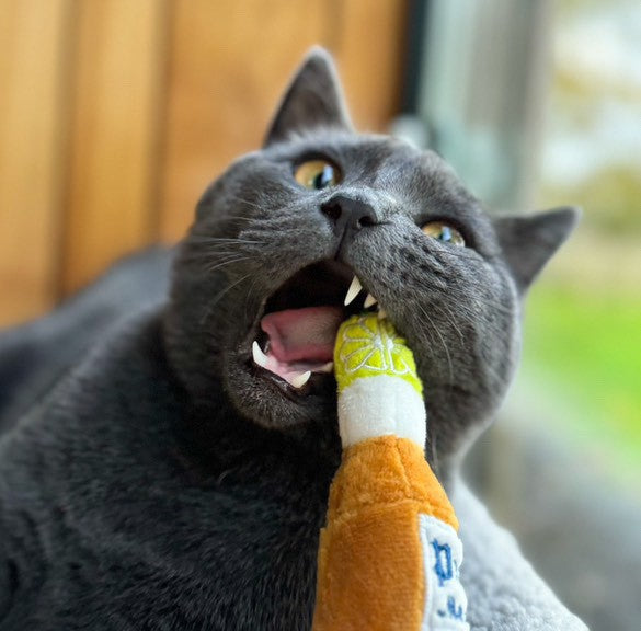 Purrona Bottle & Ball Catnip Toys