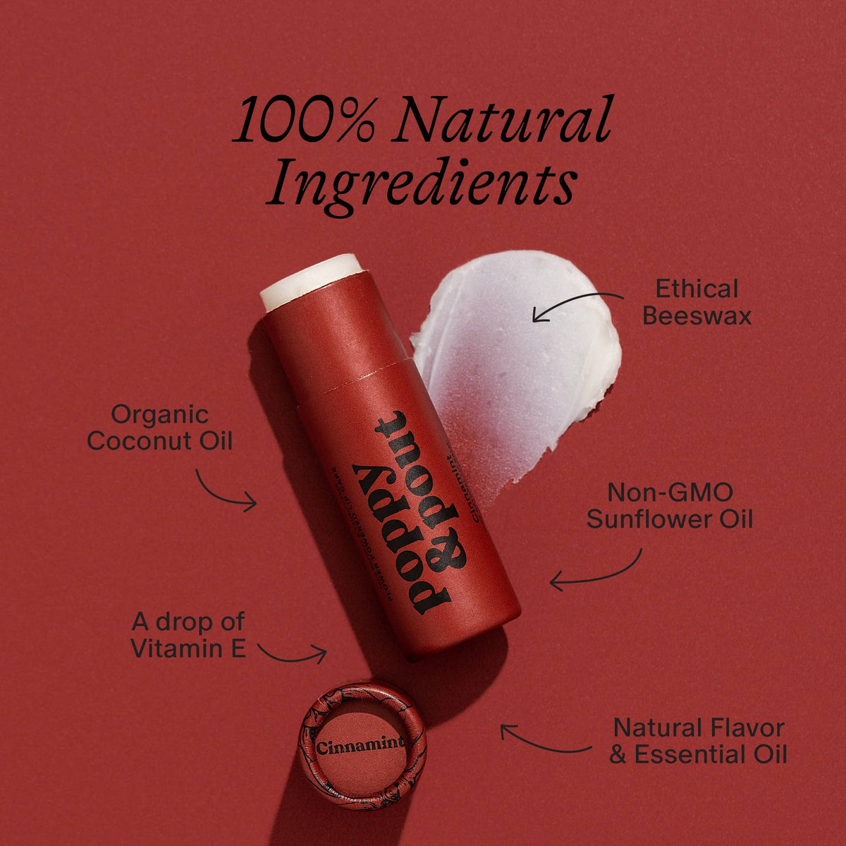 Cinnamint Lip Balm
