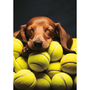 Dog Balls Birthday Card