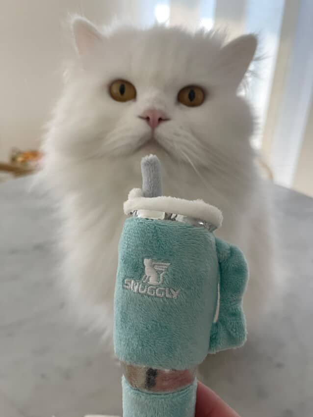 Snuggly Cup Catnip Toys