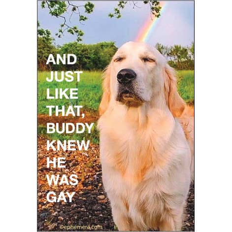 Magnet: And Just Like That, Buddy Knew