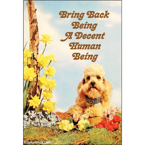 Magnet: Bring Back Being A Decent Human Being