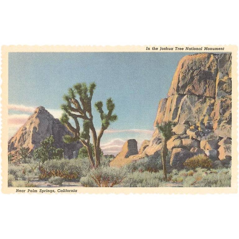 Joshua Trees Magnet - Just Fabulous Palm Springs