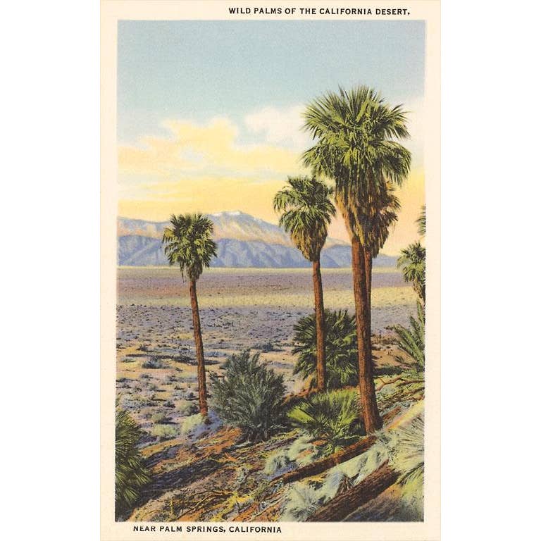 Wild Palms Magnet - Just Fabulous Palm Springs