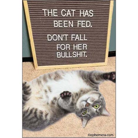 Magnet: The Cat Has Been Fed. Don't Fall For Her Bullshit.