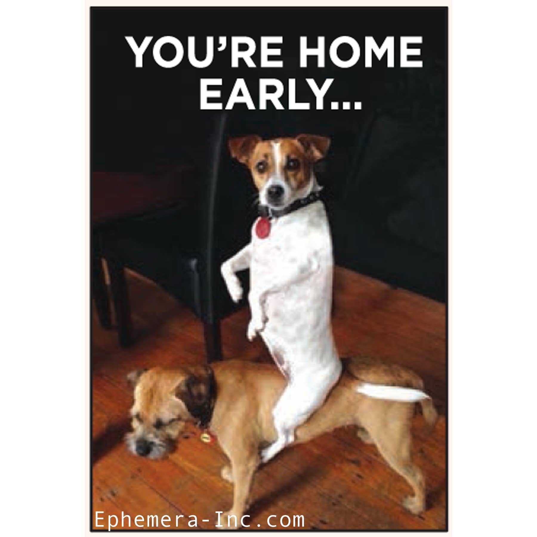 Magnet: You're Home Early …