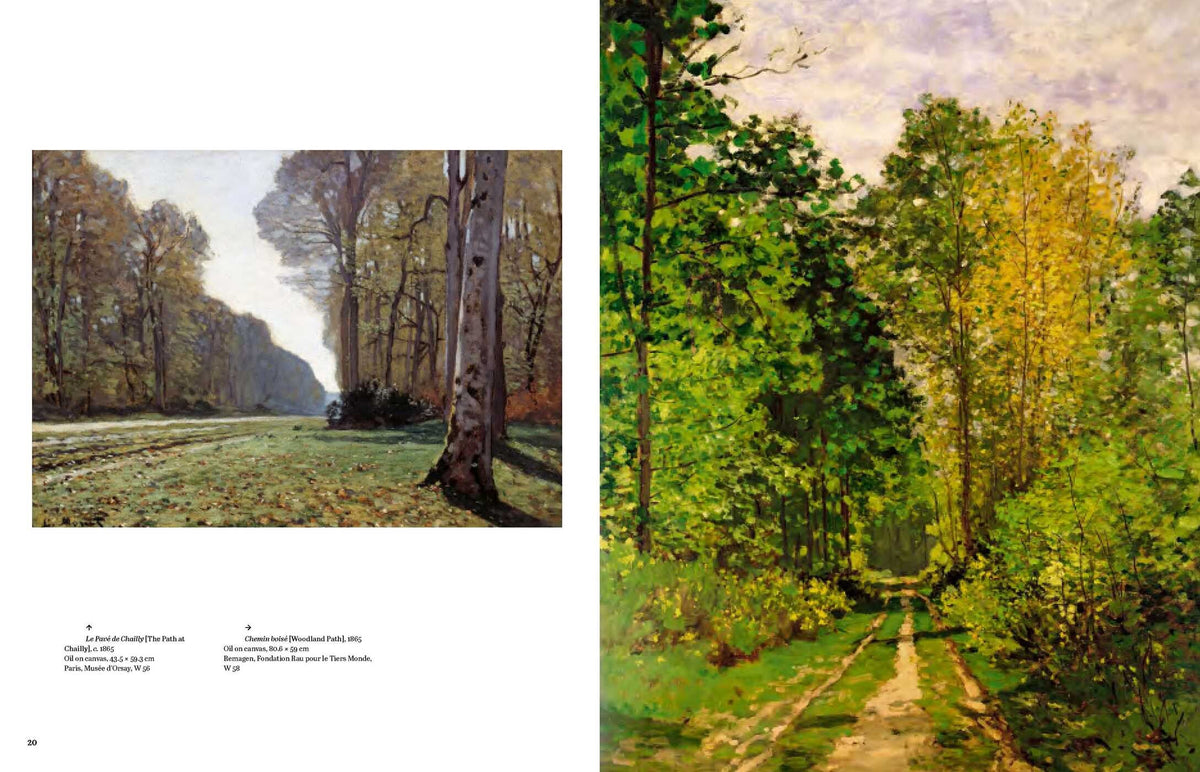 Monet: Beyond The Horizon