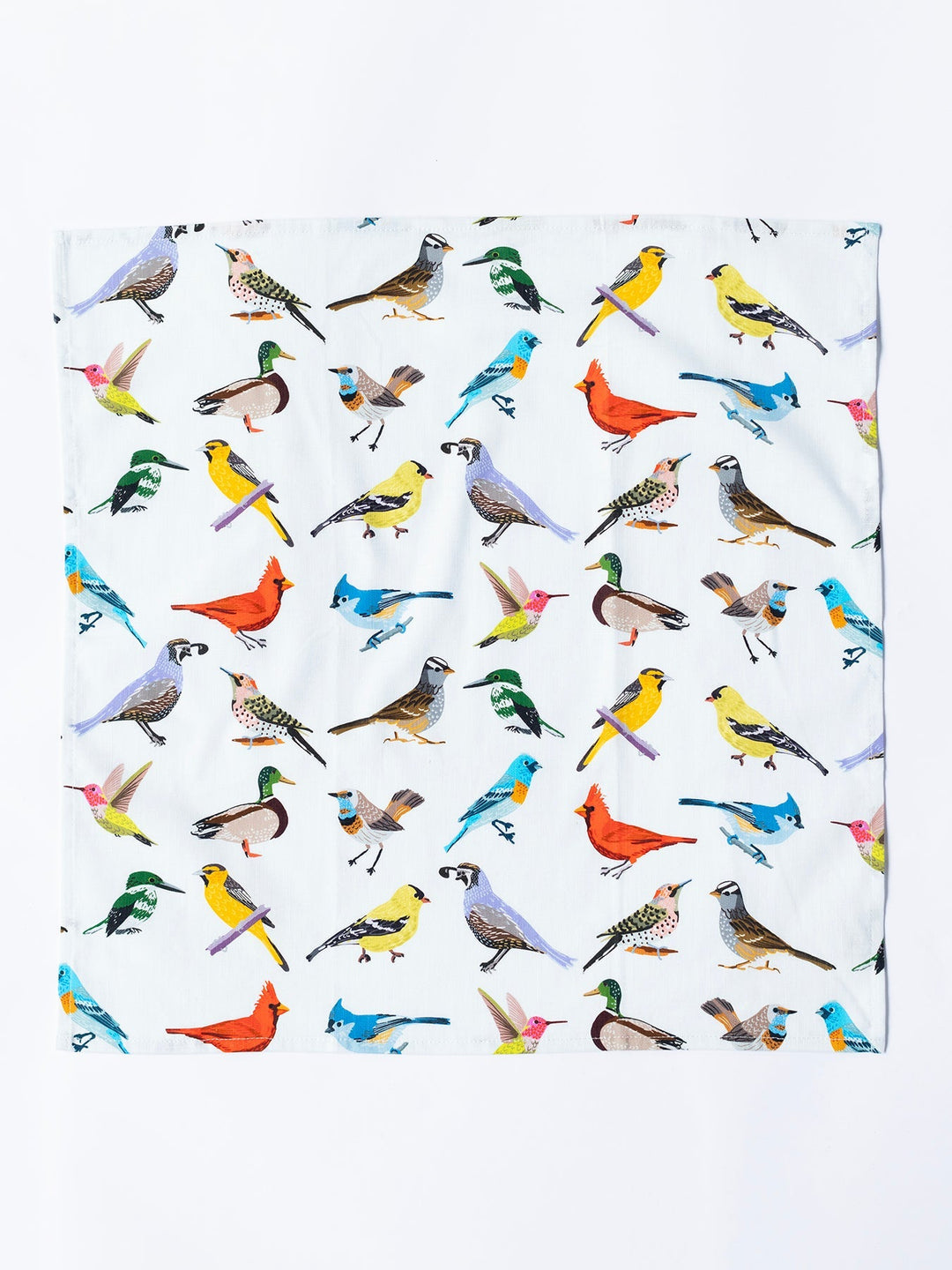Birds Napkins - Set Of 4