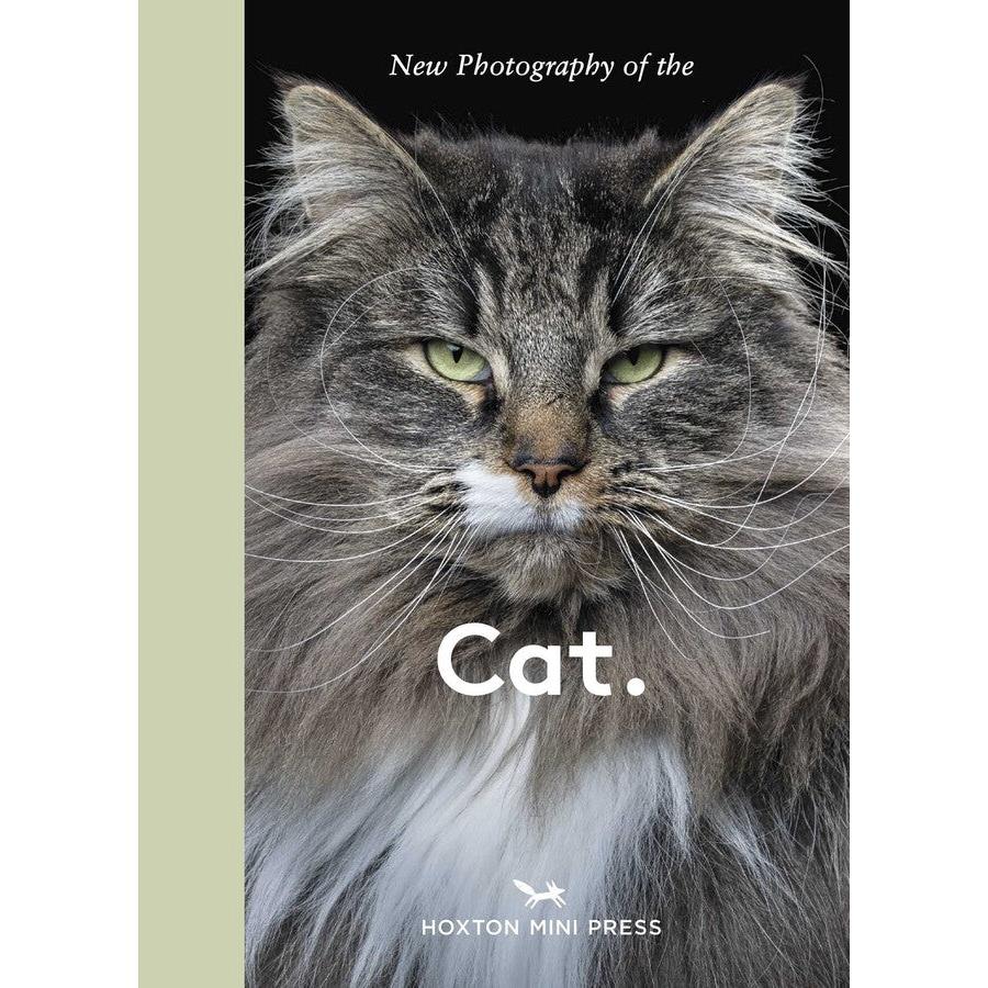 New Photography Of The Cat