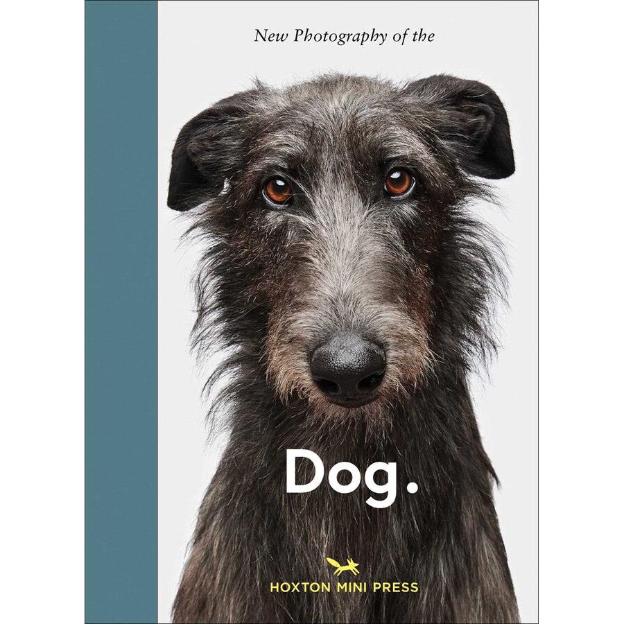 New Photography Of The Dog