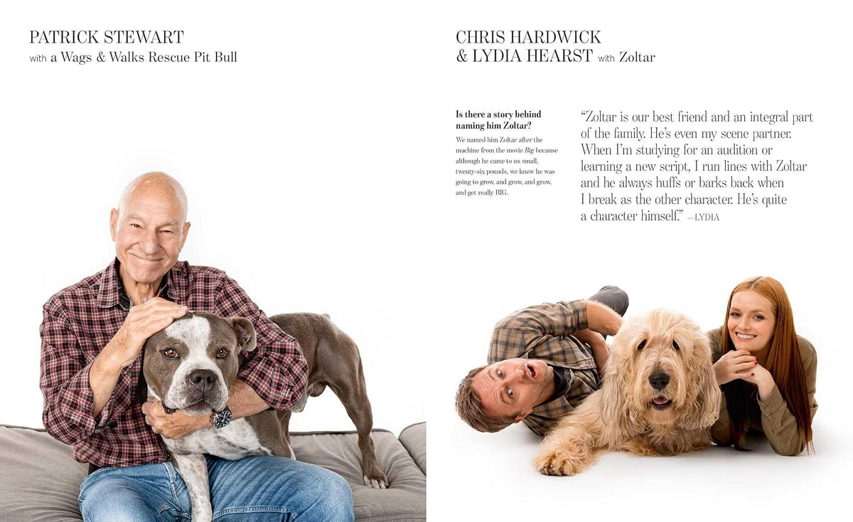 Hollywood Tails: Famous Faces and the Dogs They Love