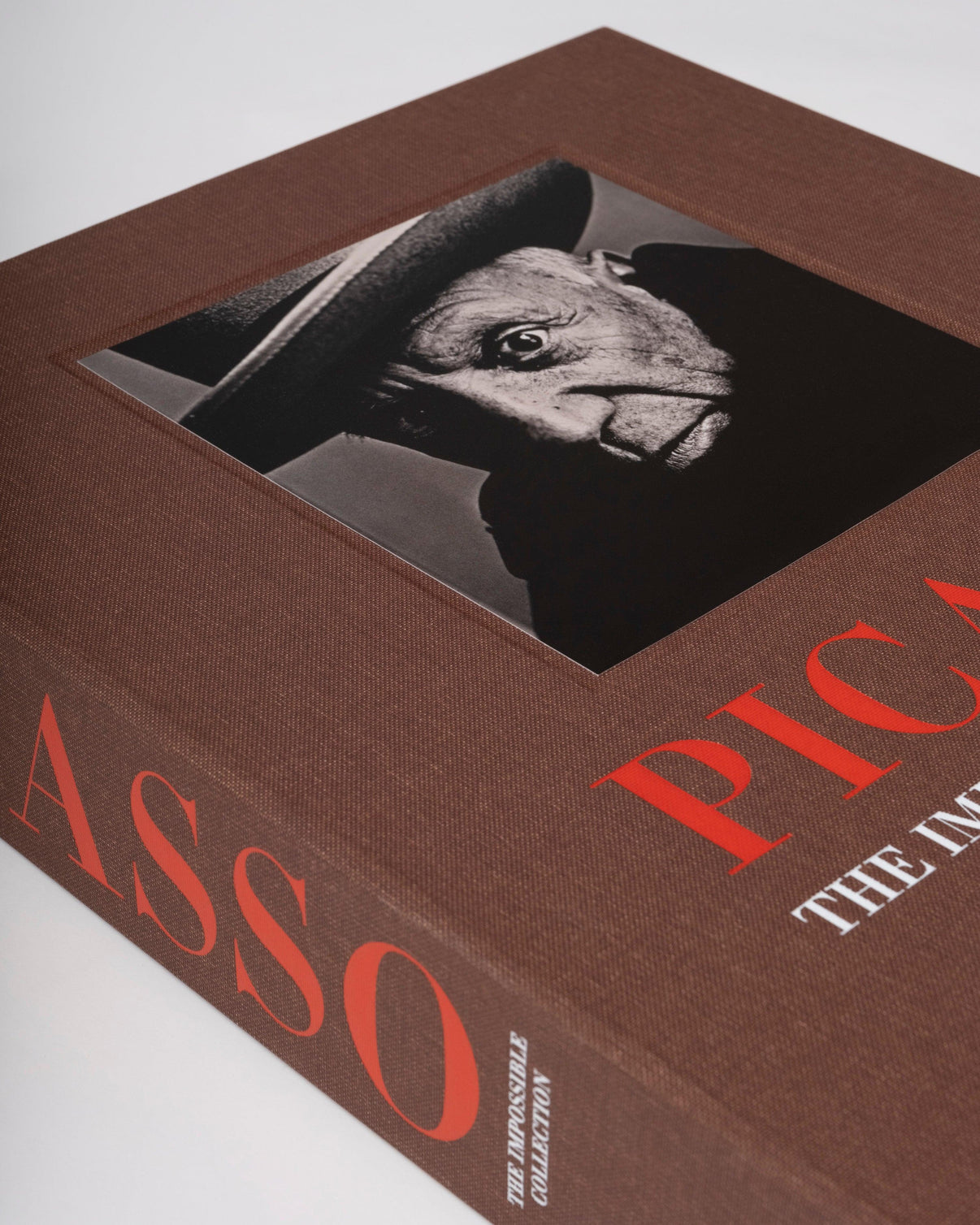 Pablo Picasso: The Impossible Collection