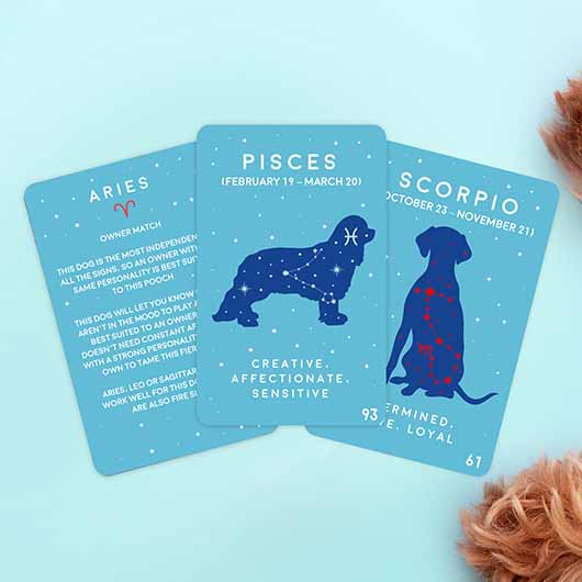 Paw-mistry Dog Cards