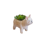 Ceramic Dog Planter - French Bulldog