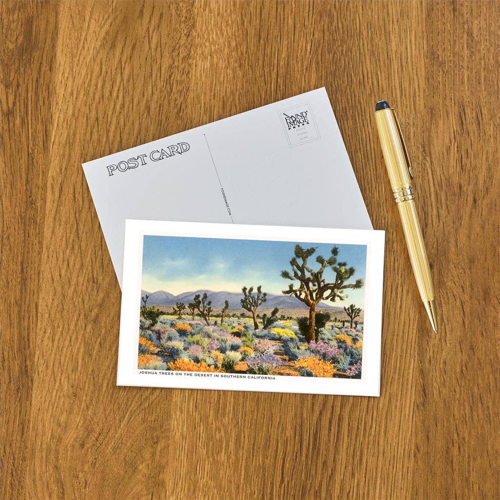 Joshua Trees In Desert Postcard - Just Fabulous Palm Springs