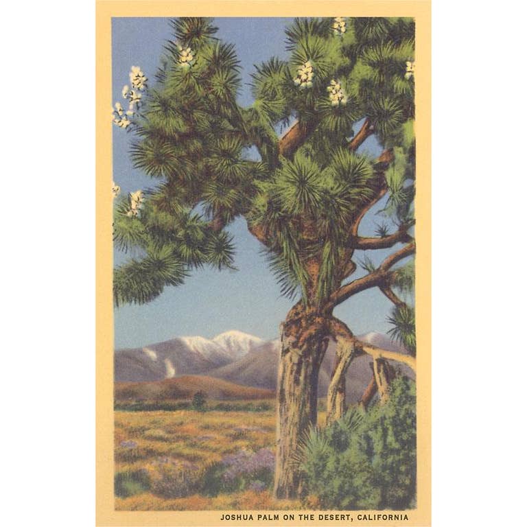 Joshua Tree Postcard - Just Fabulous Palm Springs