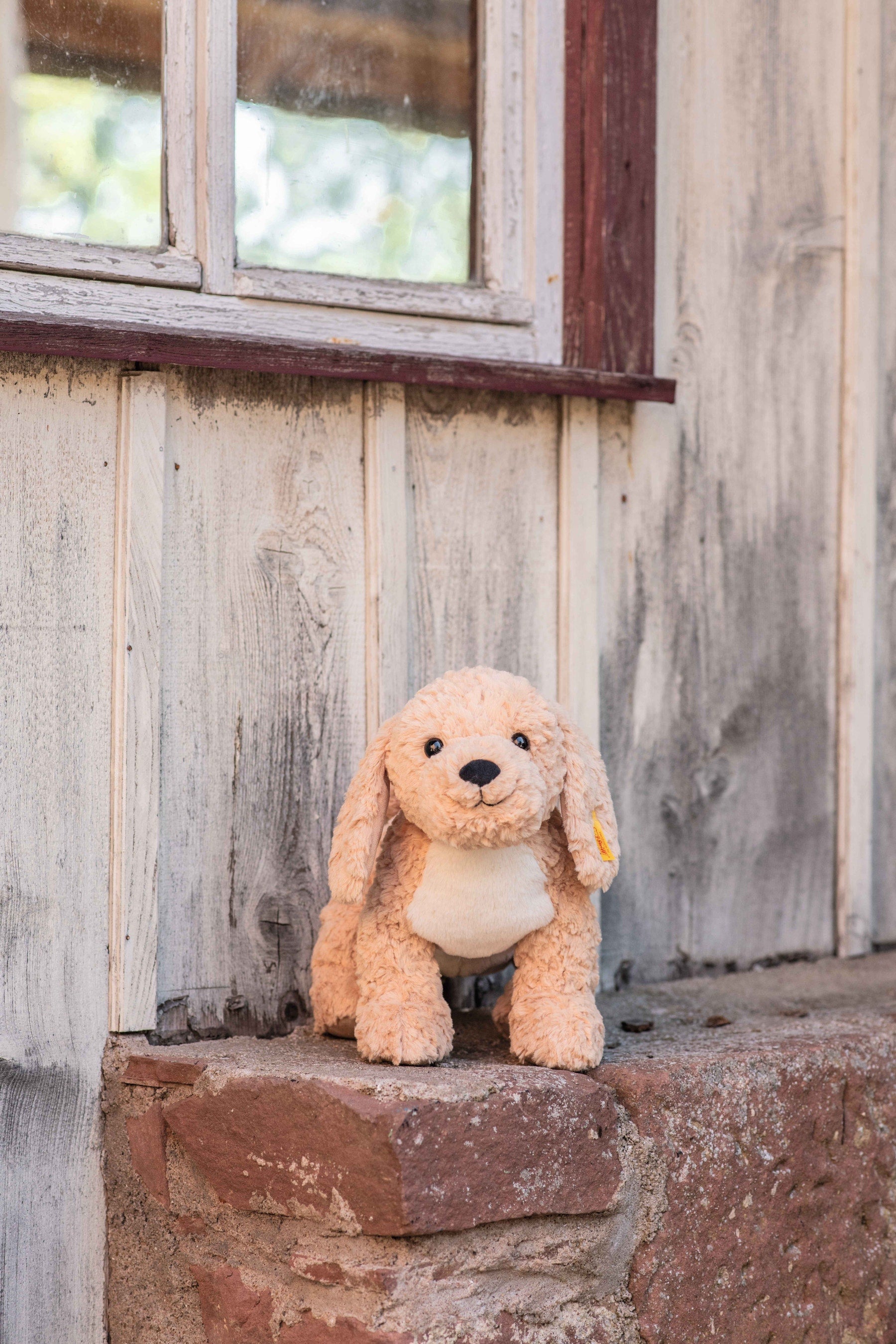 Berno Goldendoodle 14" Plush