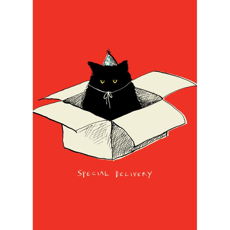 Birthday Delivery Card