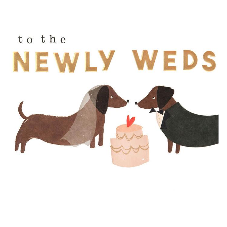 Newly Weds Dogs Wedding Card