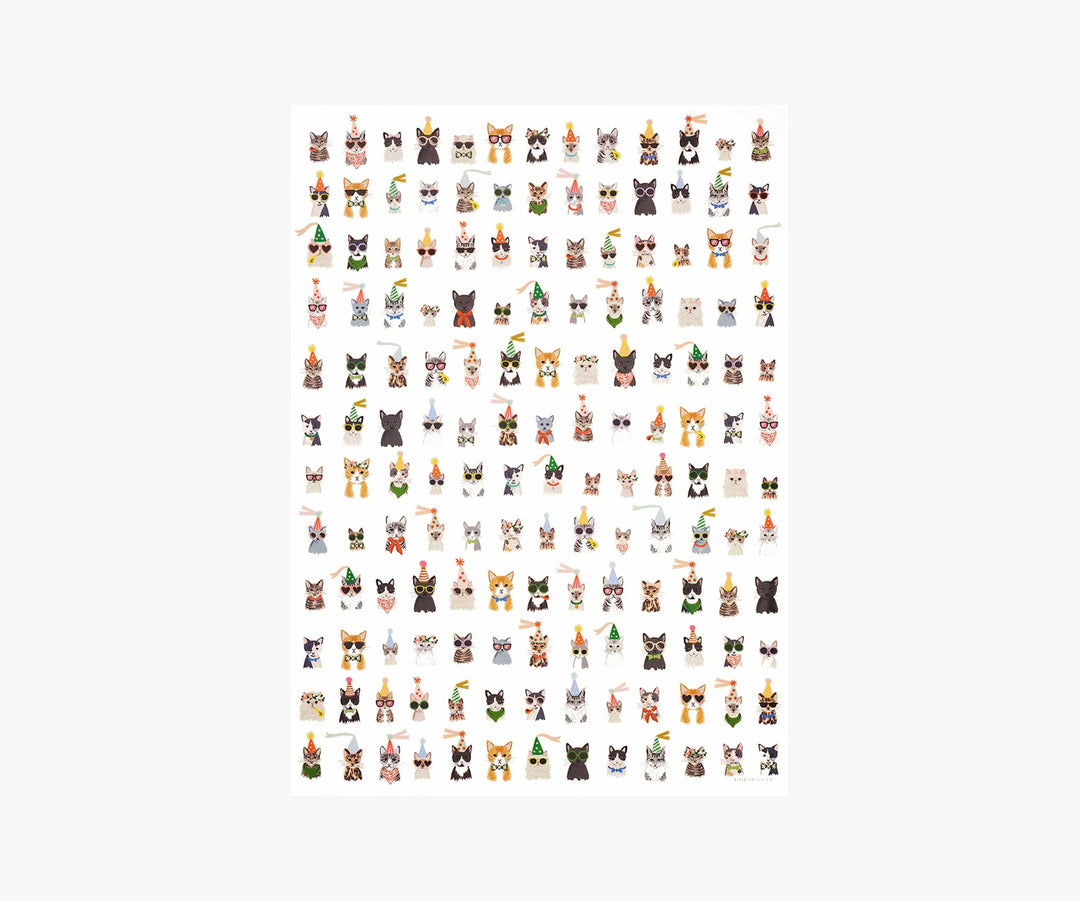 Cool Cats Wrapping Paper Sheets - Roll Of 3