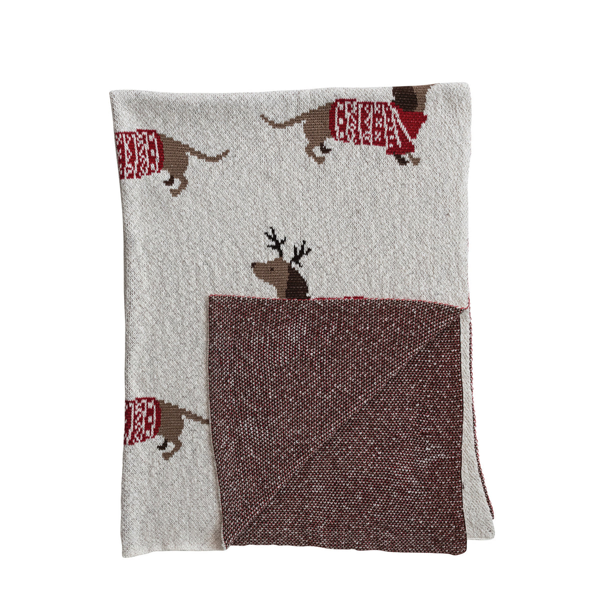 Festive Dachshunds Cotton Knit Throw