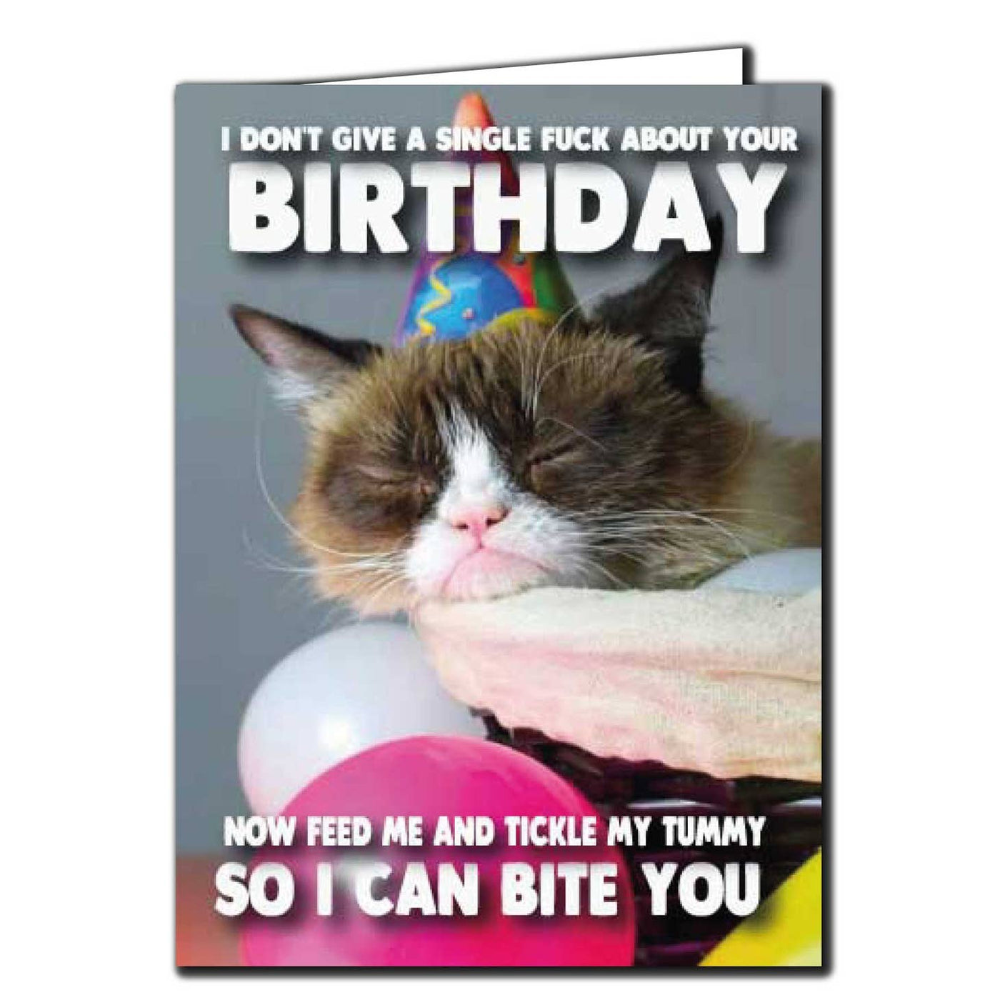 Cat Don't Give A Single F*ck About Your Birthday Card