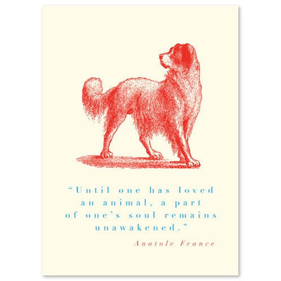 Animal Quote Dog (Anatole France) greeting card