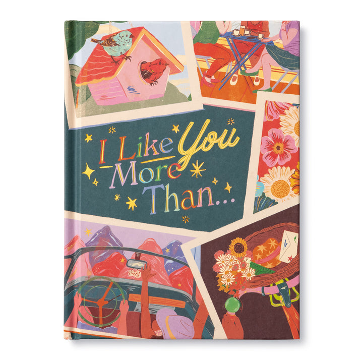 I Like You More Than... Book