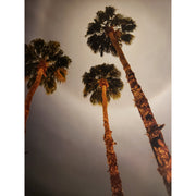 Moon Halo Greeting Card - Just Fabulous Palm Springs