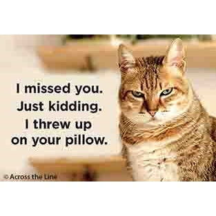 I Missed You Just Kidding I Threw Up On Your Pillow Magnet - Just Fabulous Palm Springs